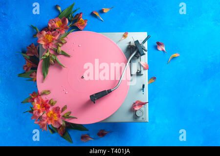 Pink color block flat lay with colorful vinyl record player and flowers. Spring music still life concept on a blue background with copy space Stock Photo