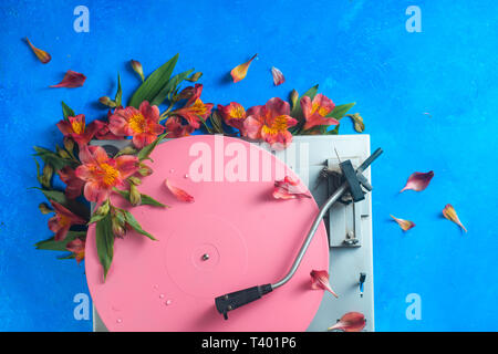 Pink color block flat lay with colorful vinyl record player and flowers. Spring music still life concept on a blue background with copy space Stock Photo