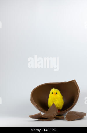 Yellow toy chicken with chocolate easter egg against a white background Stock Photo