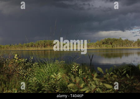 Thunderstorm clouds closing up over a lake in summer in Sweden. Stock Photo