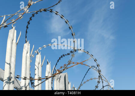 Close up detail of razor wire on a metal fence against a blue sky Stock Photo