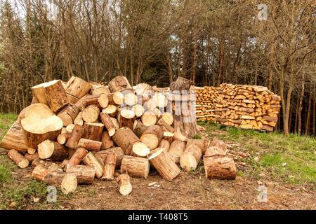 Pile of firewood. Preparation of firewood for the winter. Close up of blocks of firewood with log nearby and forest in background. Stock Photo