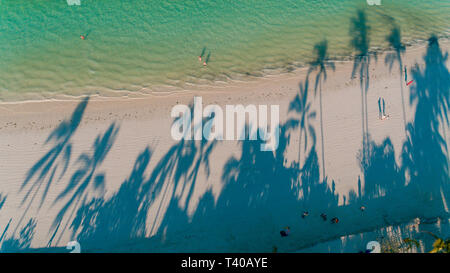 palm trees shadown on the beach, Zanzibar Stock Photo