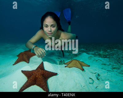 iru balic free diving los roques venezuela Stock Photo