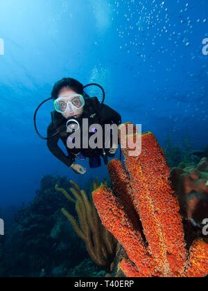 woman diver underwater los roques venezuela Stock Photo