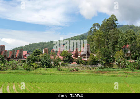 Tongkonan houses, traditional Torajan buildings, Tana Toraja is the traditional ancestral house of the Torajan people, in South Sulawesi,Indonesia. To Stock Photo