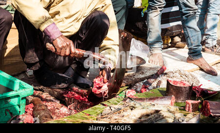 Patipukur Whole Sale Fish Market, Kolkata, West Bengal, India 10 january 2019 - Cutting red fresh fish in street market. Stock Photo