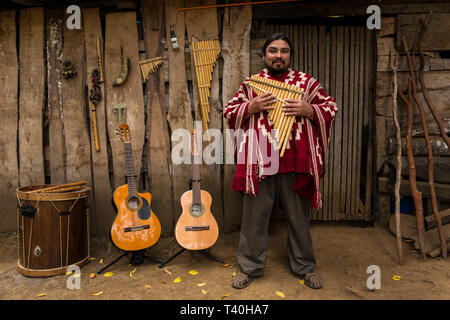 Musician José Otaiza, in front of his ancestral home. He is half Mapuche Indian and dedicated his adult life to the preservation of his cultural roots Stock Photo