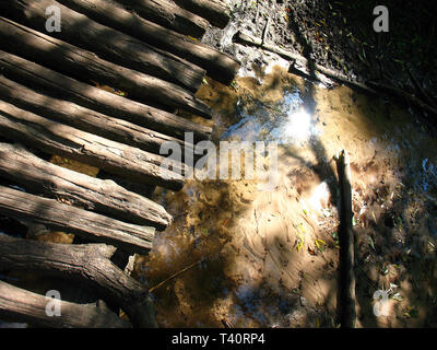 Wooden bridge over a small forest stream. Bridge of logs and the sandy bottom of the stream Stock Photo