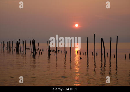 The wooden poles were lined up in a row in the sea. Appears as a reflection on the water surface During the sunrise on a new morning. Stock Photo