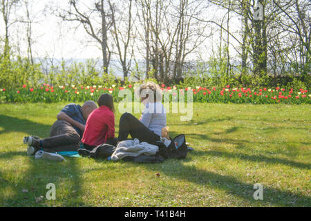 People relaxing on the green grass enjoying nature among beautiful white, pink and purple tulips with green leaves, blurred background Stock Photo