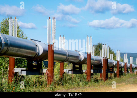 Alaska Alaskan Fairbanks Trans Alaskan Pipeline,above ground oil, Stock Photo