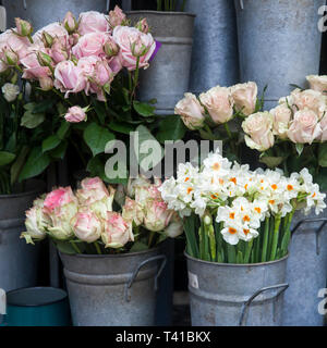 Bouquets of cream rose for sale at Liberty's store in London Stock Photo