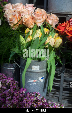 Bouquets of cream rose for sale at Liberty's store in London Stock Photo