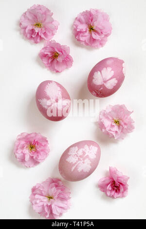 Naturally dyed easter eggs Stock Photo