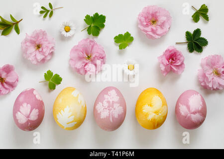 Naturally dyed easter eggs Stock Photo