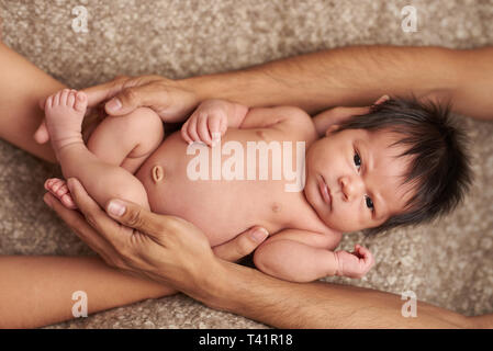 Cute newborn baby hugged with parents hands above view Stock Photo