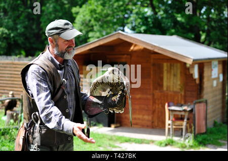 Falconry in action,Falkenhof Harz,Saxony Anhalt,Germany. Stock Photo