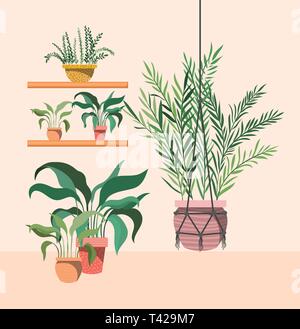 houseplants in macrame hanger and shelfs Stock Vector