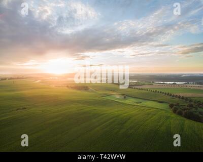 aerial view of a beautiful sunset over green corn fields - agricultural fields Stock Photo