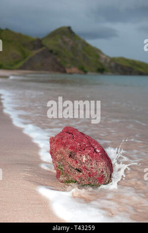 Waves hitting dead pink coral,  on beach with hills in background, Pink Beach, Padar Island, Komodo National Park, Indonesia Stock Photo