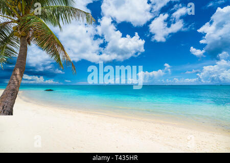 Tropical scenery with amazing beaches of  Mauritius island Stock Photo