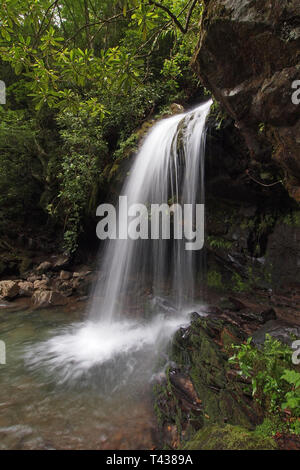 Grotto Falls in early summer in the Great Smoky Mountains National Park, Tennessee. Stock Photo