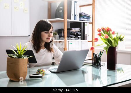 Smiling Young Businesswoman Using Laptop In Office Stock Photo