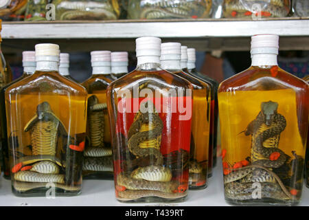 Forbidden souvenir from Laos Snake Whiskey, Snakes in whiskey bottles, Laos, Asia Stock Photo