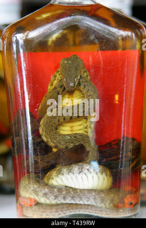 Forbidden souvenir from Laos Snake Whiskey, Snakes in whiskey bottles, Laos, Asia Stock Photo