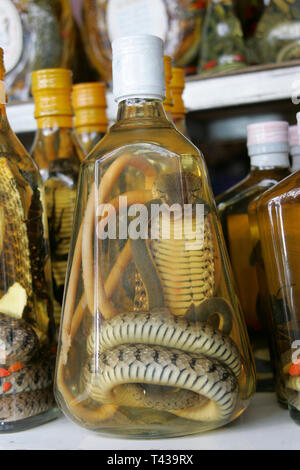 Forbidden souvenir from Laos Snake Whiskey, Snakes in whiskey bottles, Laos, Asia Stock Photo