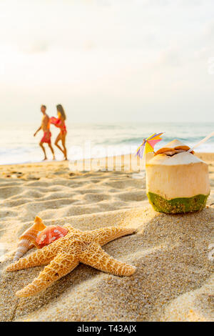 Coconut, seashell and Starfish  at the tropical beach Stock Photo