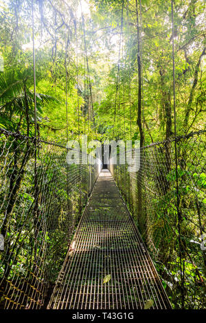 One of 6 hanging bridges in Arenal Hanging Bridges Park in Costa Rica Stock Photo