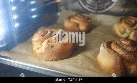Cinnamon rolls are baking in the oven. Close-up view. Baking and industrial food production. Stock Photo