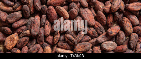 Cocoa beans full frame background, banner. Close up top view Stock Photo
