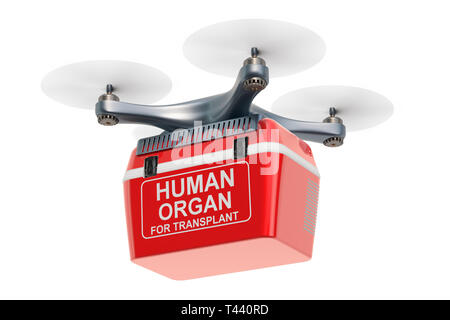Delivery drone with portable fridge for transporting donor organs, 3D rendering Stock Photo