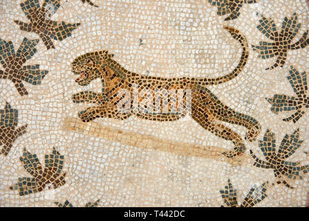 Picture of a Roman mosaics design depicting  panthers, from the ancient Roman city of Thysdrus. 3rd century AD, House of Dolphins. El Djem Archaeologi Stock Photo