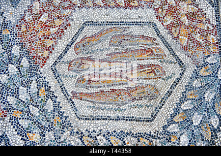 3rd century AD Roman mosaic panel of   fish from Thugga, Tunisia.  The Bardo Museum, Tunis, Tunisia. Stock Photo