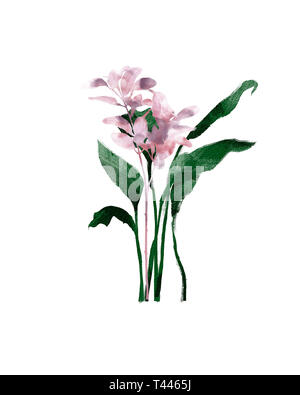 Set watercolor elements - herbs, leaf, flowers. collection garden and wild herb, leaves, branches, illustration isolated on white background, eucalypt Stock Photo