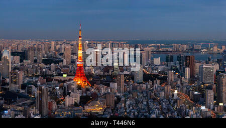 Panoramic view of the Tokyo skyline and the special ward Minato city with the Tokyo Tower and countless skyscrapers during sunset. Tokyo, Japan Stock Photo