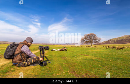 Photographers taking landscape picture on sunny day Stock Photo