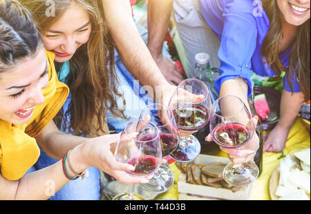 Group of happy friends making a picnic toasting red wine glasses - Young people enjoying and laughing together drinking and eating outdoor Stock Photo