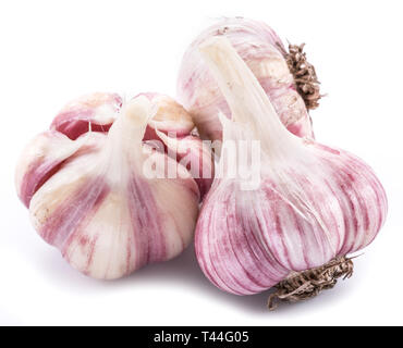 Three garlic bulbs isolated on white background. Stock Photo