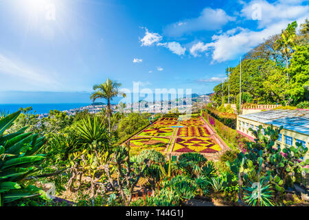 Tropical Botanical Gardens in Funchal, capital of  Madeira island, Portugal Stock Photo