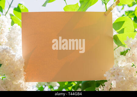 Orange paper blank and white lilac flowers as a frame. Blue sky at the background. Stock Photo
