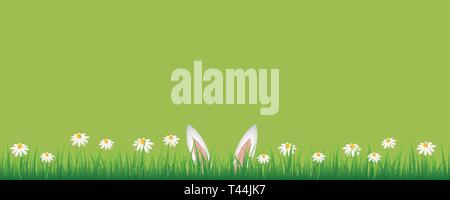 bunny ears in green meadow with white daisy flowers green banner with copy space vector illustration EPS10 Stock Vector