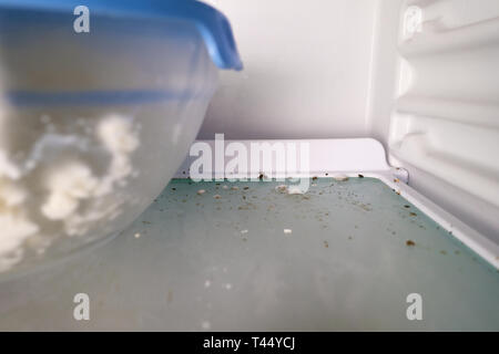 disinfection mold moss fungus in contaminated freezer Stock Photo