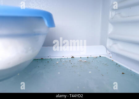 disinfection mold moss fungus in a contaminated freezer. spoiled food Stock Photo