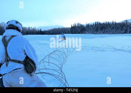 Paratroopers with 2nd Battalion, 377th Parachute Field Artillery Regiment, 4th Infantry Brigade Combat Team (Airborne), 25th Infantry Division, U.S. Army Alaska, set up Concertina wire during artillery training at Joint Base Elmendorf-Richardson, Alaska, Feb. 27, 2019. Paratroopers use the wire to set up defensive perimeters around their firing positions. Stock Photo