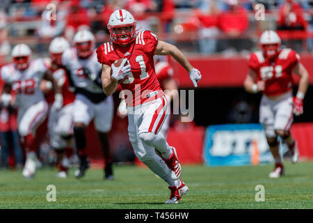 Lincoln, NE. USA. 13th Apr, 2019. Kade Warner #81 in action during the Red vs White spring football game at Memorial Stadium in Lincoln, NE.Red won 24-13.Attendance: 85,946. Credit: Cal Sport Media/Alamy Live News Stock Photo